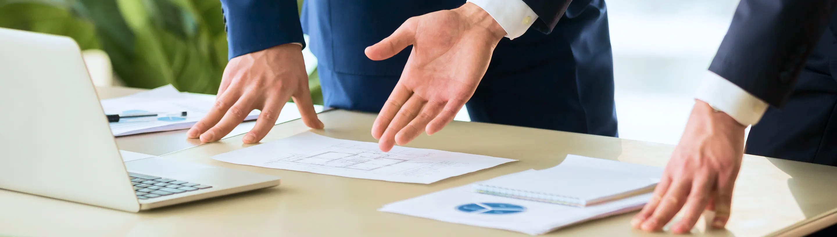 Dividend Policy and Payments