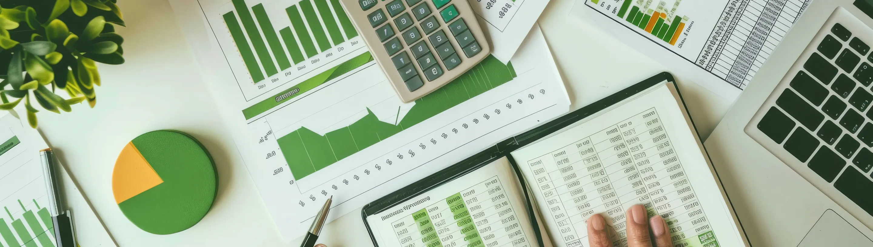 ข้อมูลสำคัญทางการเงิน